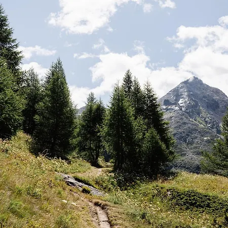 Apartamento Mit Sauna An Der Piste Rosswald