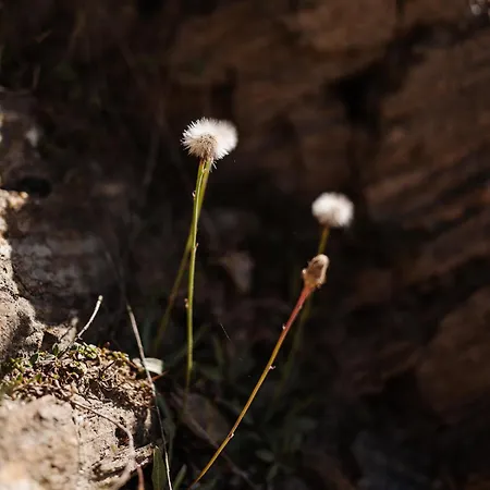 Mit Sauna An Der Piste