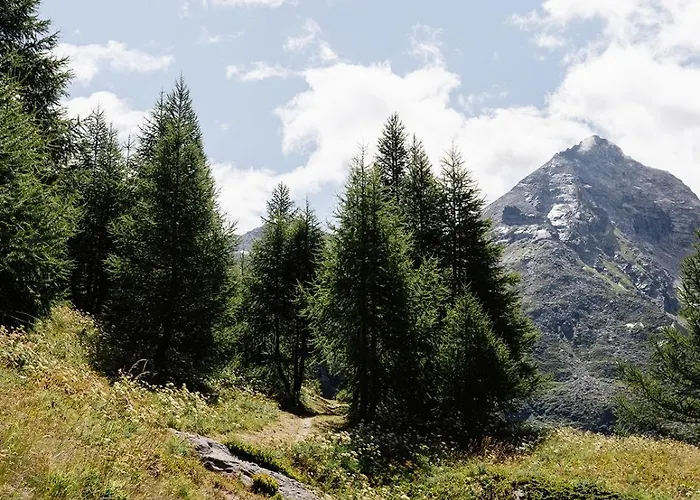 شقة Mit Sauna An Der Piste Rosswald