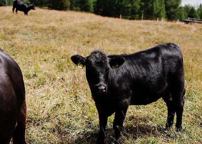 شقة Mit Sauna An Der Piste